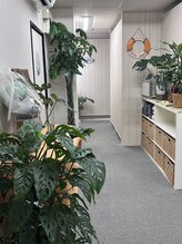 リペララ 中野栄店/観葉植物いっぱい