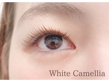 ホワイトカメリア(White Camellia)/ブラウンミックス