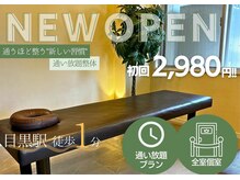 TATSUYA目黒整体院(併設 整骨院)肩こり/腰痛/姿勢・骨盤矯正/ヘッドスパ/整体の雰囲気(【完全個室★】 緑と落ち着きと清潔感の整体院はここだけ!)