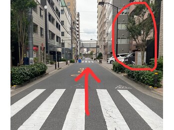 ロータス 浜町(LOTUS)/都営新宿線浜町駅より（道順6）