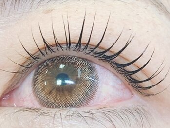 ドロップ(Drop)の写真/【まつげパーマ上のみ¥4,500】自まつげを活かしたぱっちりでナチュラルな抜け感のある上品なお目元へ♪