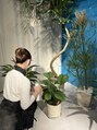 カイ(KAI) サロンでは約30種類の観葉植物を育てております♪お家では5種類!