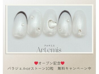 アルテミス(Artemis)/定額デザイン15種＊カラー変更◎