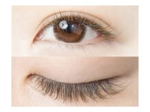 アイブロウ アンド アイラッシュ アイランド(ISLAND)/カラーエクステ140本