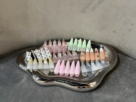 ＊*2026 SSコレクション＊*