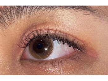 ジョリー(Jolie)/