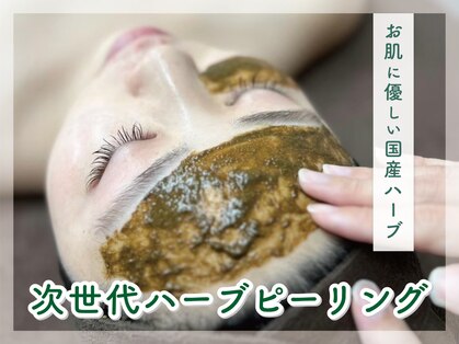 コト(Koto)の写真