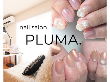 プルマ(pluma.)の写真