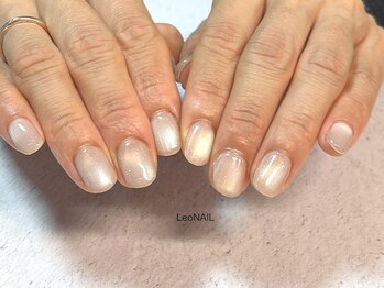 レオネイル(Leo NAIL)/新色マグネット