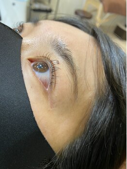 ジョリー(Jolie)/