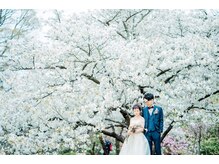 ザショウ(THE SHOW)の雰囲気（公式LINE; ID【377ockea】365日24時間いつでもご対応します◎）