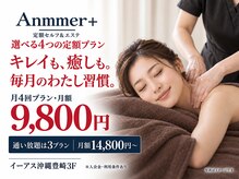 アンマープラス(Anmmer+)