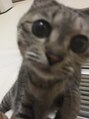 クレオ 伏見店(Cleo) 猫派です♪実家で飼ってました!