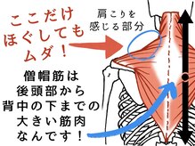 整体院アリエの雰囲気（僧帽筋は頭の付け根から背中を覆う肩と頭を支える大きい筋肉です）