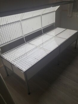 シスター リラクゼーションサロン(Sister)/美容光☆フォトニックシャワー！