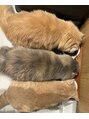 ブリス 姫路(Bliss)&nbsp;3匹の可愛い猫と暮らしています！