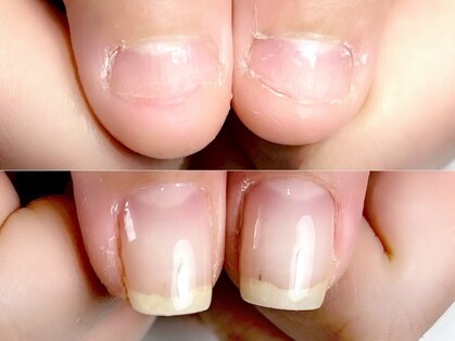 ツバキ(Tsubaki)の写真