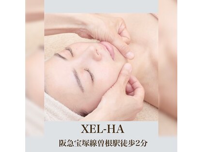 シェルハ(XEL-HA)の写真