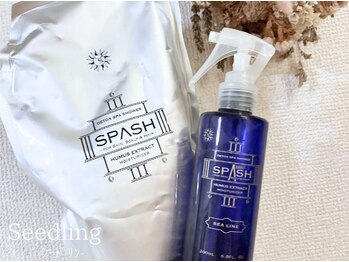 シードリン(Seedling)/スパッシュベビィ