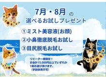 脱毛サロン リッカ(Lycka)の雰囲気（5月6月は★ミスト美容液★小鼻徹底脱毛★目尻脱毛から1つ選択！）