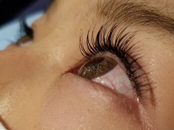 アイリス(Ailis)/上まつ毛両目150本（3）