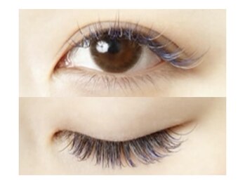 アイブロウ アンド アイラッシュ アイランド(ISLAND)/カラーエクステ140本