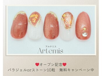 アルテミス(Artemis)/定額デザイン15種＊カラー変更◎