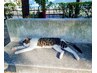 【時間をかけて もみほぐし 90分コース】6000円⇒