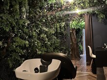 森の雨やどり/緑を感じて下さい…