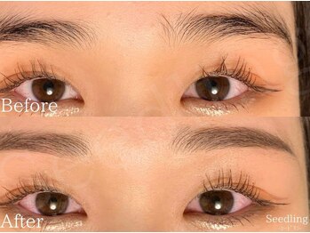 シードリン(Seedling)/眉毛ワックス