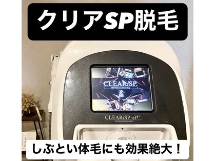 ディサイドロー(DECIDE L.A.W)の写真