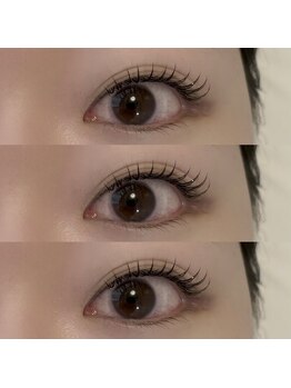 ル ボウ(le.beau)/フラットラッシュ120本