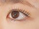 クレオ(CREO)の写真/大人女子も目元は可愛く♪【新規限定★】まつげパーマorパリジェンヌ（コーティング込¥6600→¥5480