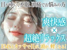 ショートルーム(shortroom)/目と頭が驚くほど軽くなる！