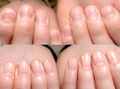 ツバキ(Tsubaki)の写真