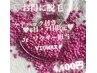 ★女性限定★【Jr.ワクサー担当】VIOWAX ¥4,000★生ケアパック付