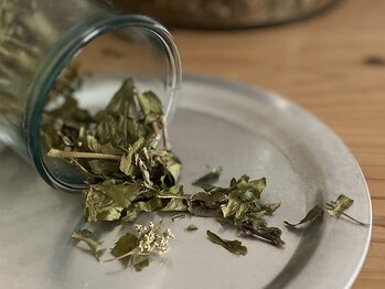 ミジタク 京都二条店(mijitaku)/子宮の土台を整える〈大和当帰〉