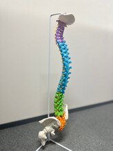 ナオル整体 本厚木院(NAORU)/骨格模型×本格整体