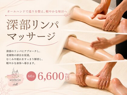 アンテイン チル(anthein chill)の写真
