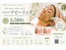 M‘s mini  人気NO.１ハーブピーリングライト 30分　5500