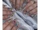 フレイスネイル(FUREIS NAIL)の写真