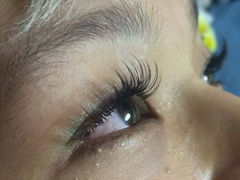 シュシュ(chou chou)/セーブル140本(chouchou吉祥寺)