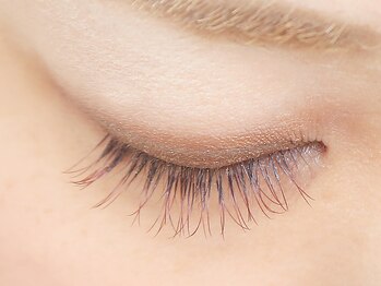 アイラッシュサロン ソル(SOL)/ブラウンカラー まつエク