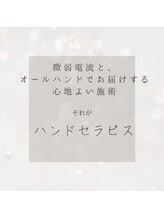 サロン 和/オールハンドで美電流を流す