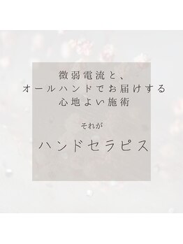 サロン 和/オールハンドで美電流を流す