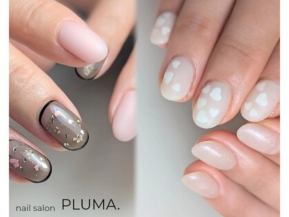 プルマ(pluma.)の写真