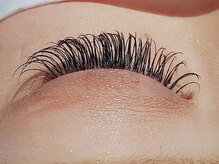 アイリス(Ailis)/上まつ毛両目220本（2）