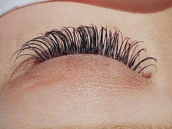 アイリス(Ailis)/上まつ毛両目220本（2）