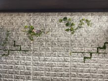 カラダプラス(kArAdA+)/