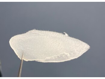 テンパ ビューティー(+10%beauty)/背中美人WAX